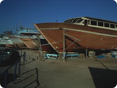 IMGP0010