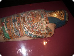 IMGP0147