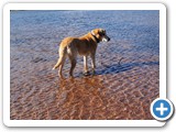 IMG_20240913_105200