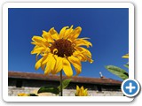IMG_20240914_141245