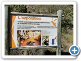 IMG_20240915_115916