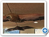 IMG_20240915_152421