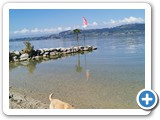 IMG_20240921_125123
